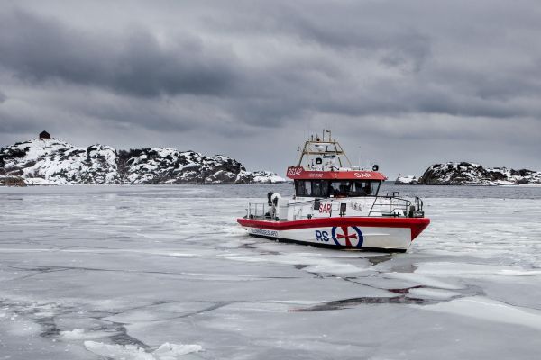 RS 142 «Horn Flyer»