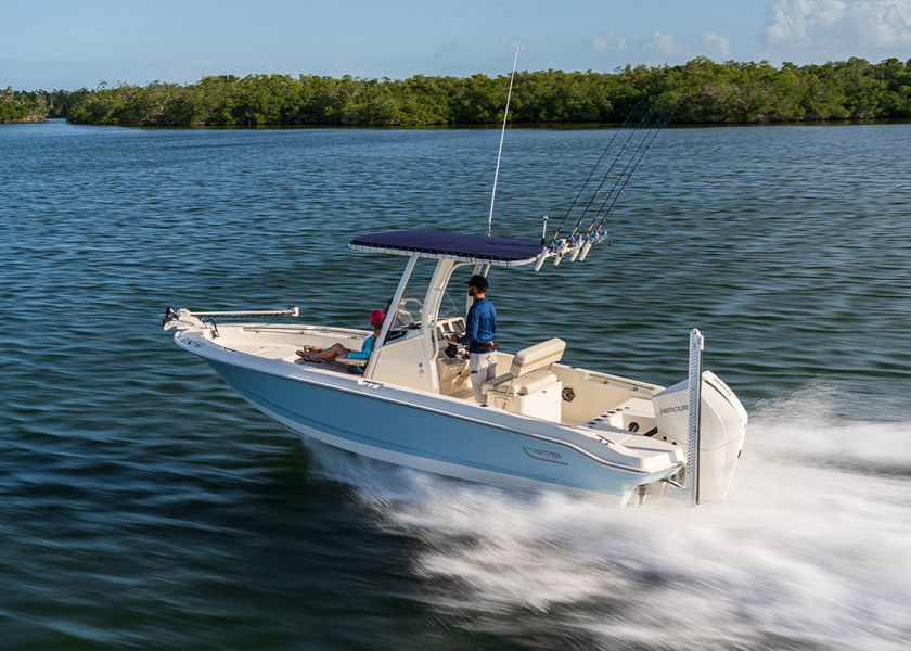 Boston Whaler 220 Dauntless