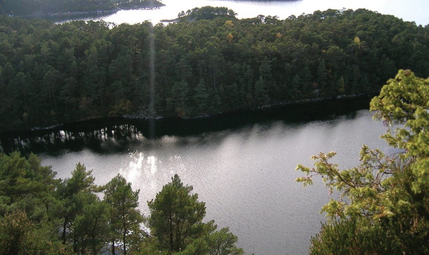 Lysev&aring;gen, Lys&oslash;en