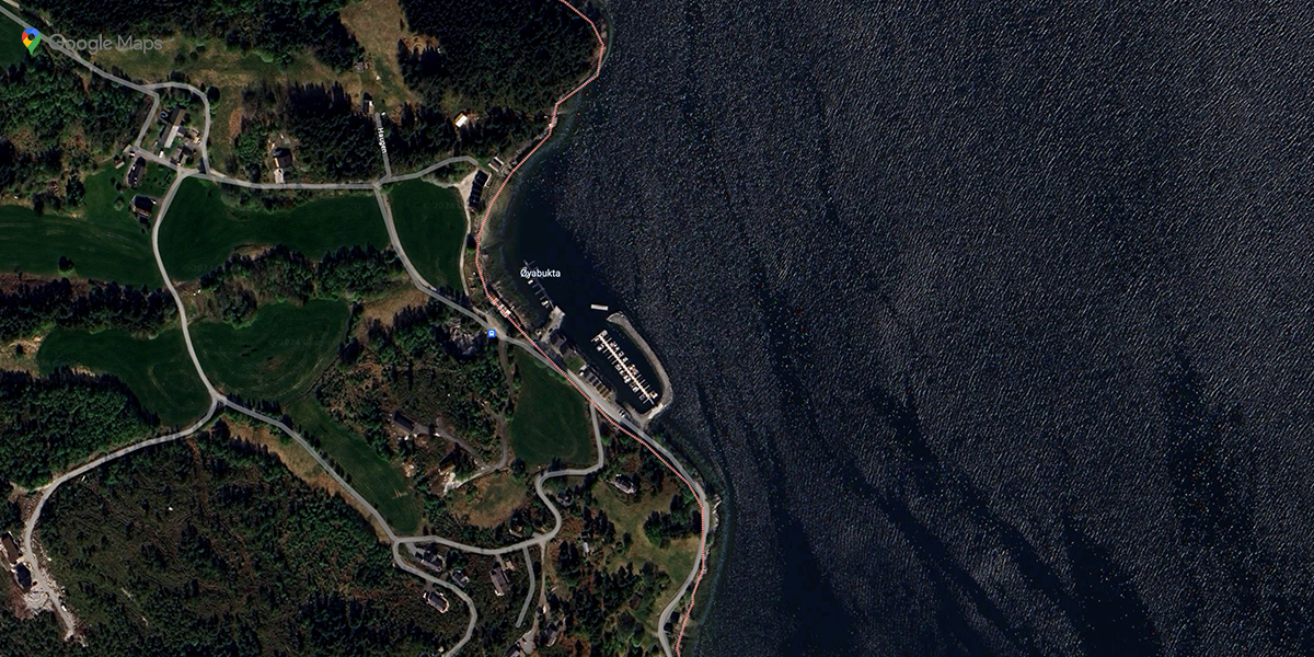 Nes&oslash;ya B&aring;tforening