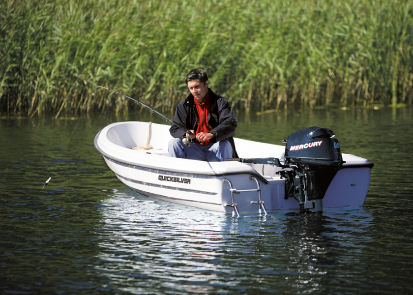 Quicksilver 360 Fish