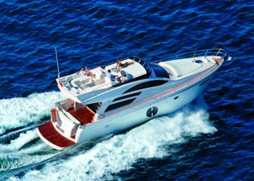 Rodman Muse 50
