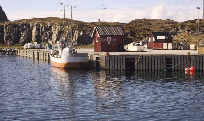 Tr&aelig;na Kommunale Havn